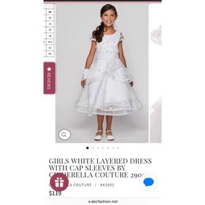 Cinderella Couture dress